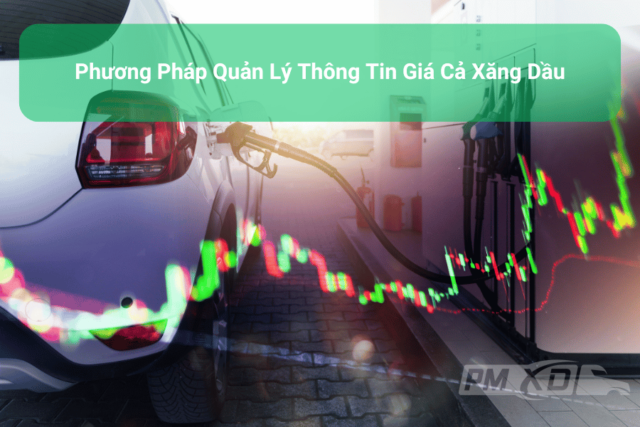 Phương pháp quản lý thông tin giá cả xăng dầu 