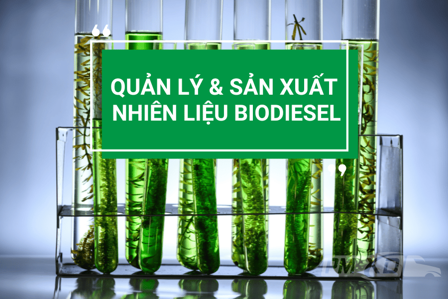 nhiên liệu biodiesel