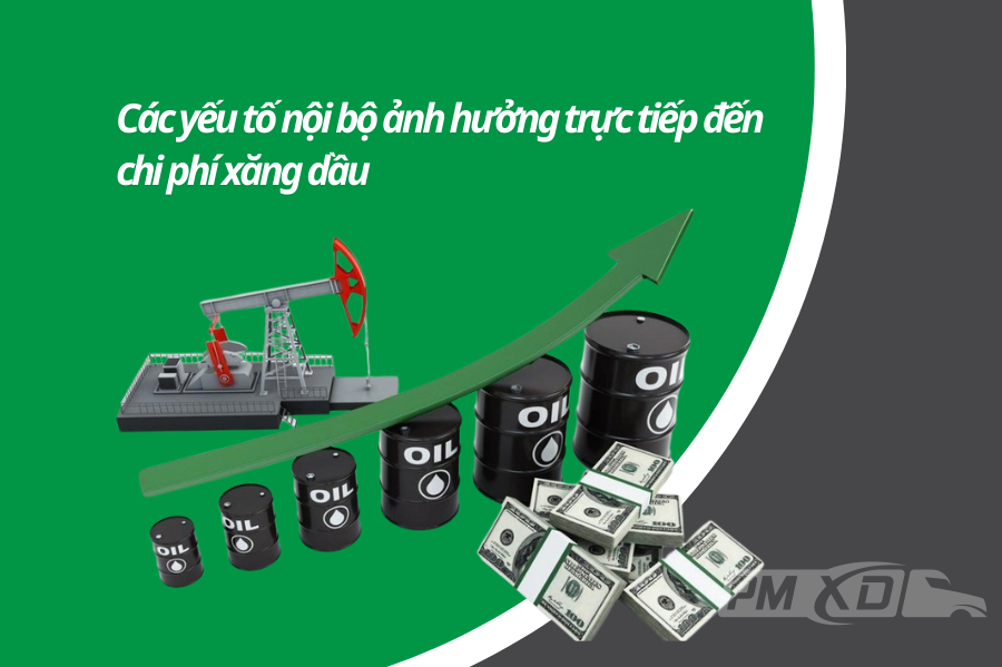 Các yếu tố nổi bật